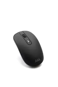 AAAmaze Maus kabellos Premium, Type-C/USB, schwarz