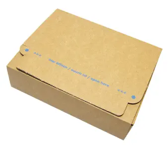 Versandkarton Paperpac (3)