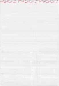 ELCO Bloc-notes quadrillé (2)